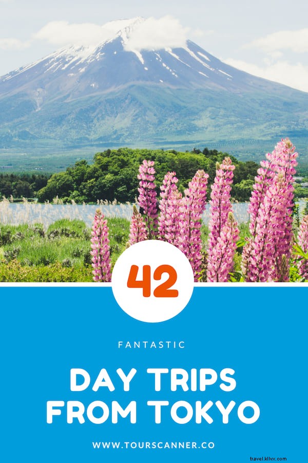 42 meilleures excursions d une journée au départ de Tokyo 