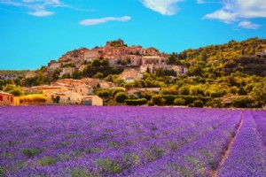 18 melhores viagens de um dia saindo de Nice - Mônaco, Lavender Fields, … 