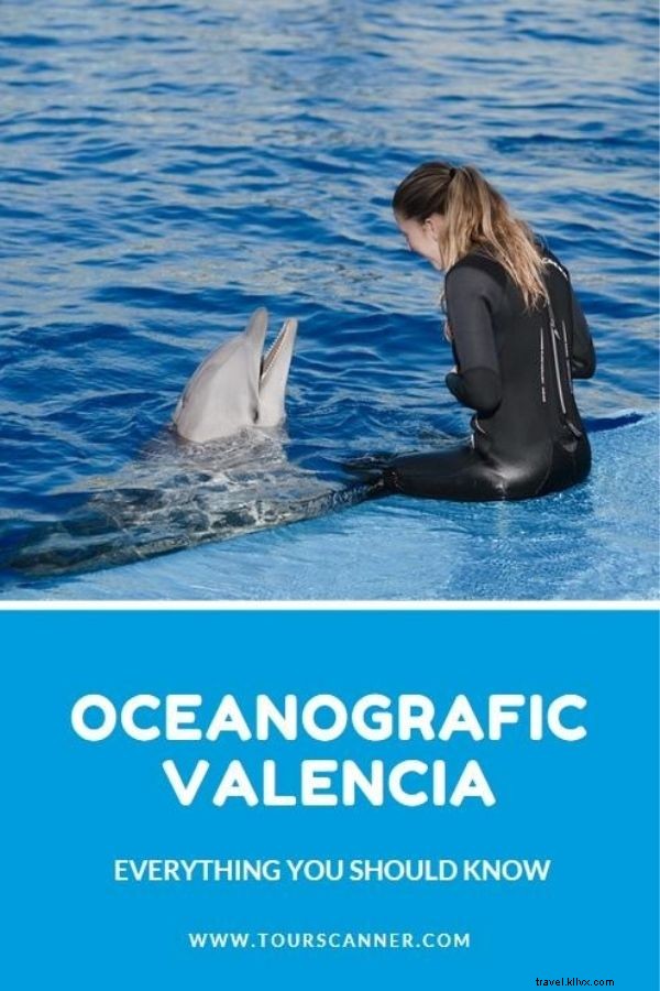 Precio de las entradas del Oceanografic Valencia - Todo lo que necesitas saber 