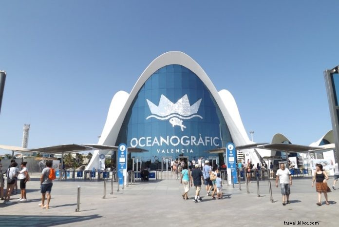 Prezzo biglietti Oceanografic Valencia – Tutto quello che devi sapere 