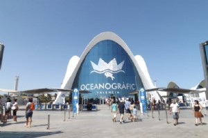 Prix ​​des billets Oceanografic Valencia – Tout ce que vous devez savoir 