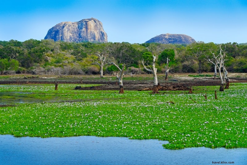 11 mejores lugares para visitar en Sri Lanka para quienes visitan por primera vez 