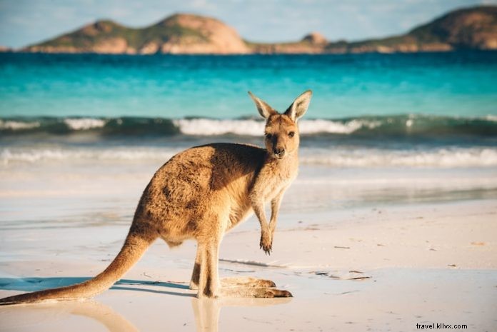 52 coisas divertidas para fazer na Austrália - atividades interessantes e incomuns 