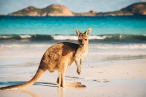 52 choses amusantes à faire en Australie – Activités cool et insolites 