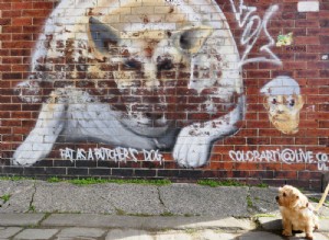 肉屋の犬としての脂肪-ストリートアート 