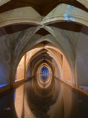 Reflexiones en el palacio del Alcázar de Granda 