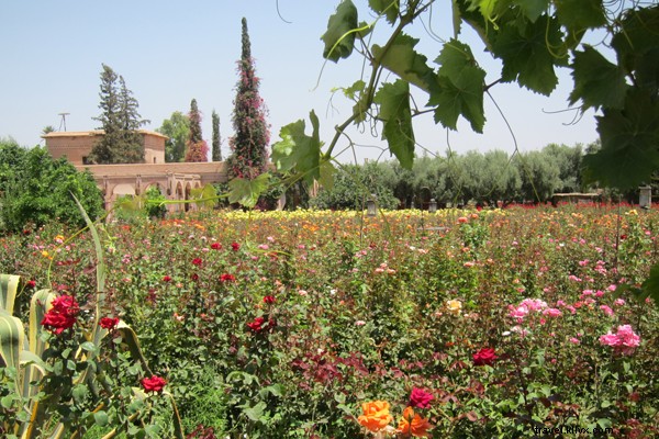 O Jardim do Éden fica em Marrakech 