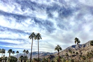 Tangkap Redeye:NYC ke Palm Springs 