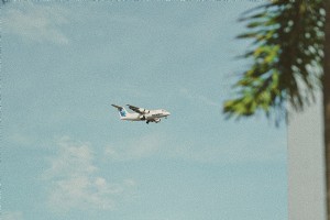 Une application de réservation de compagnies aériennes pour vous aider à planifier des escapades estivales de dernière minute 