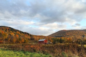 Passe um fim de semana de outono perfeito em Catskills 