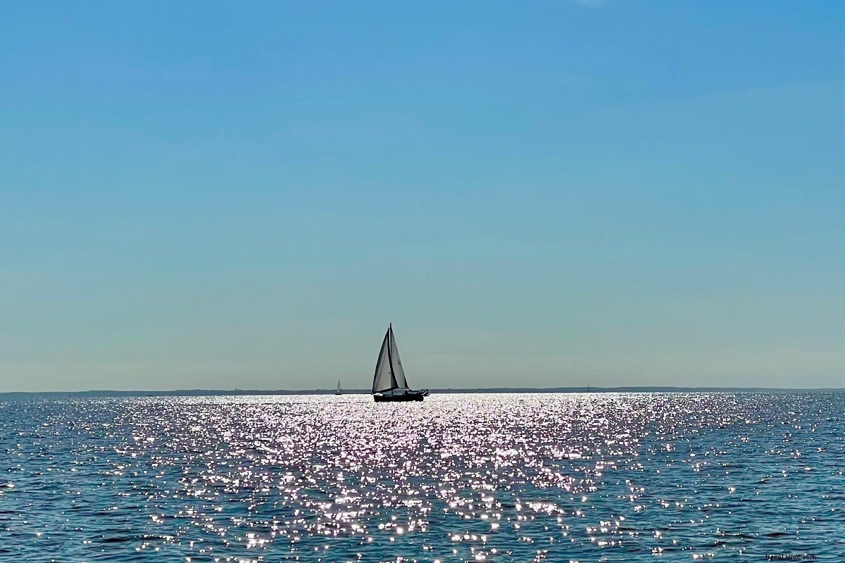水の夏：チェサピーク湾での5つの航海の旅 