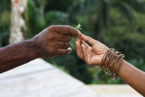 Comment suivre le chemin rastafari vers le bien-être 