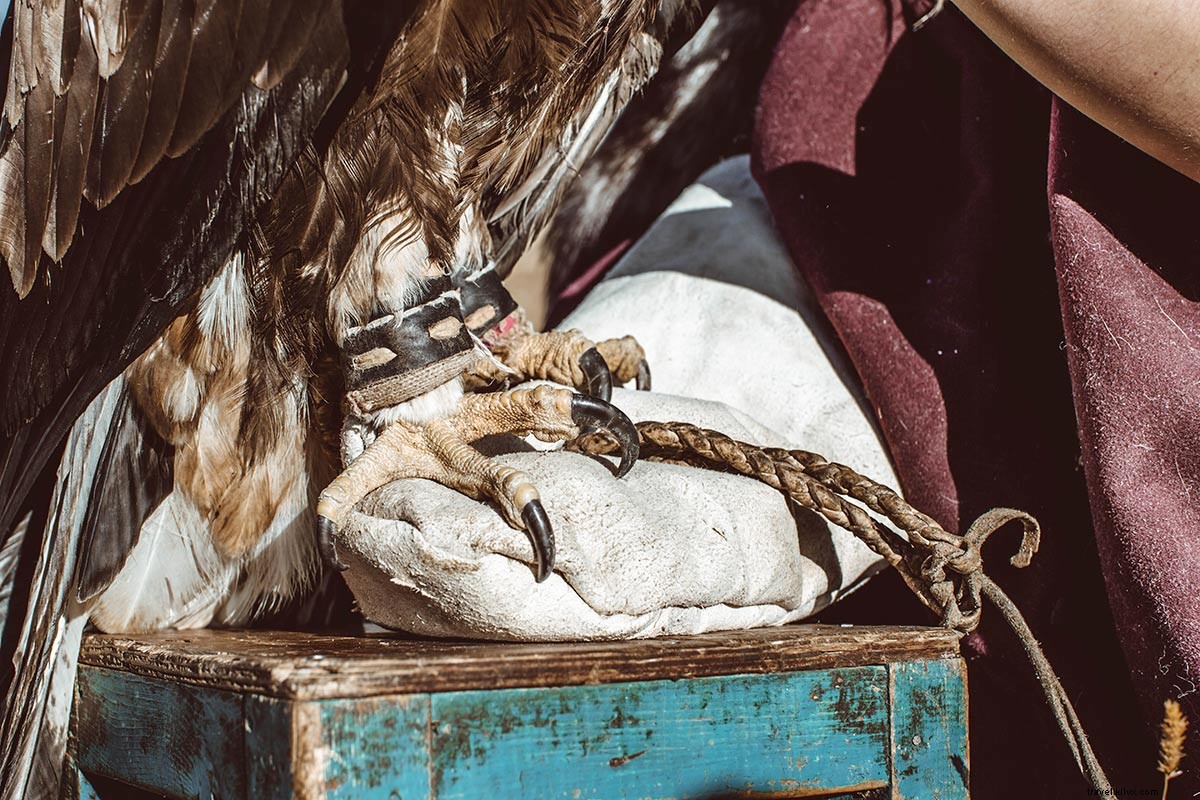 Chasse aux aigles royaux en Mongolie avec la photographe de voyage Breanna Wilson 