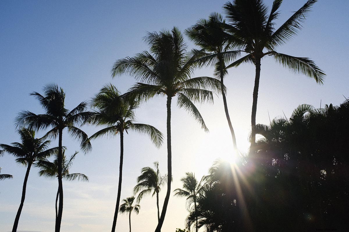 Roh Aloha Hidup dan Sehat di Grand Wailea 
