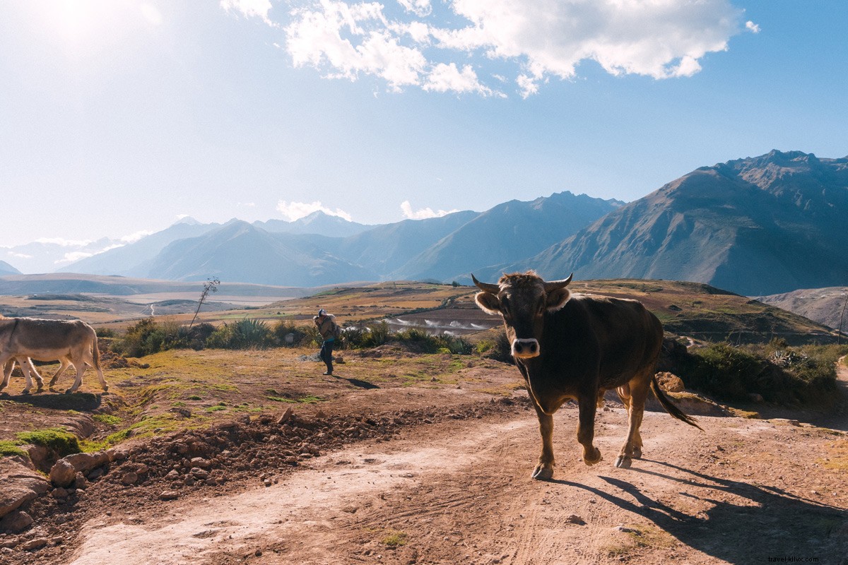 Di Lembah Suci Peru, sebuah Hotel Immersive Membawa Makanan dan Petualangan ke Ketinggian Baru 