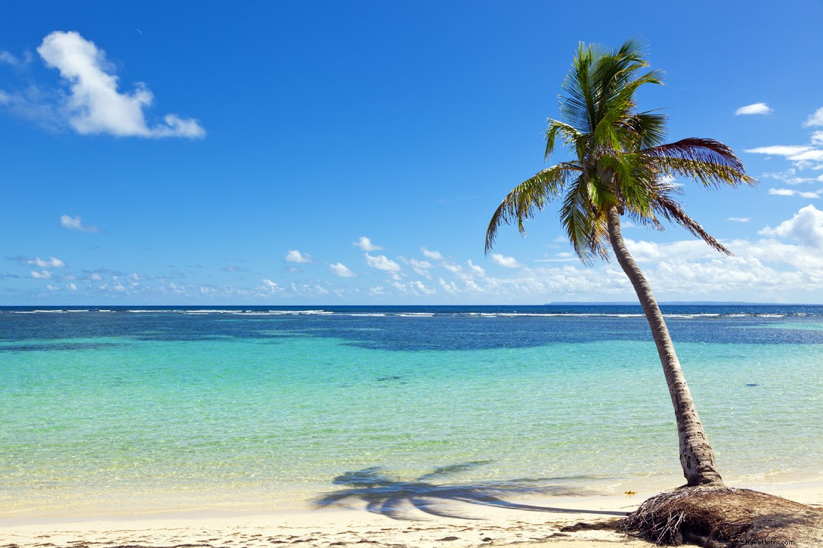 史上最高の旅行：グアドループ諸島でやるべきことトップ5 