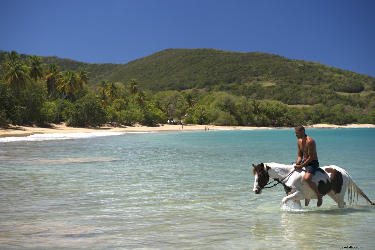 Conheça Guadalupe, Suas novas ilhas caribenhas favoritas 