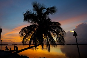 Um guia ecológico para Florida Keys 