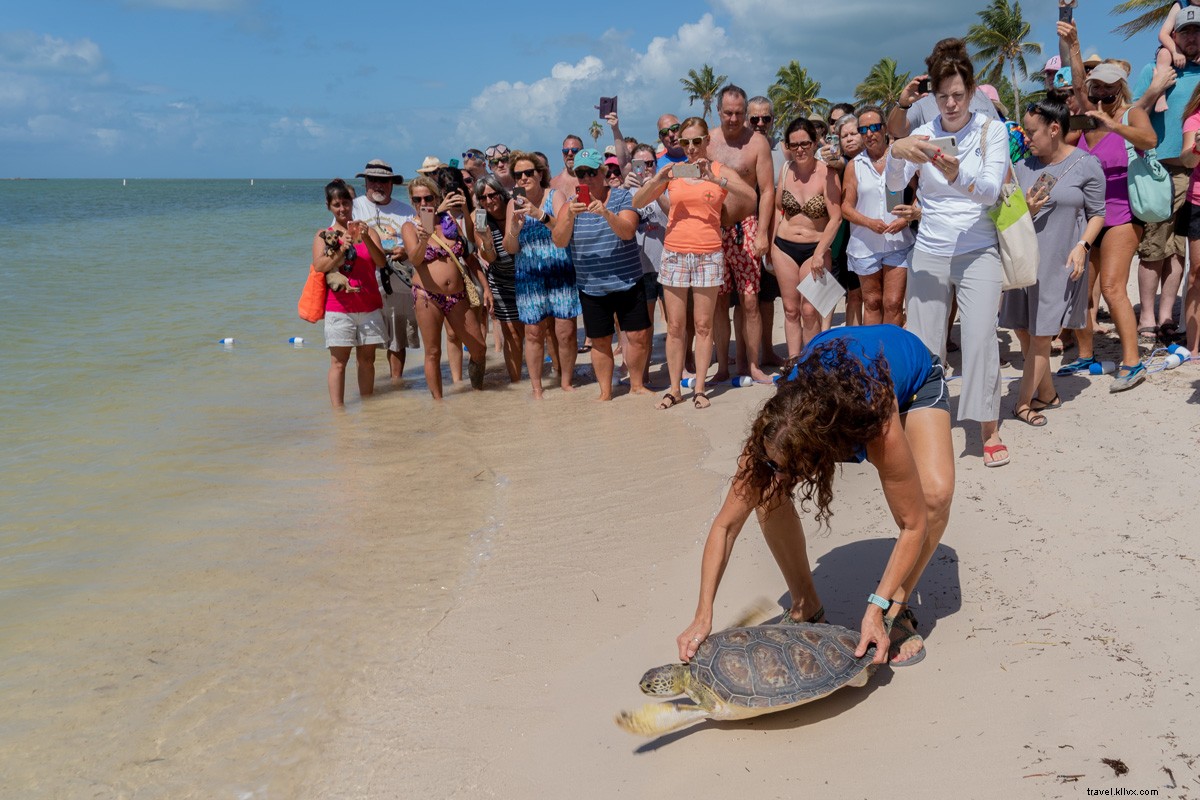 Un guide écologique des Florida Keys 