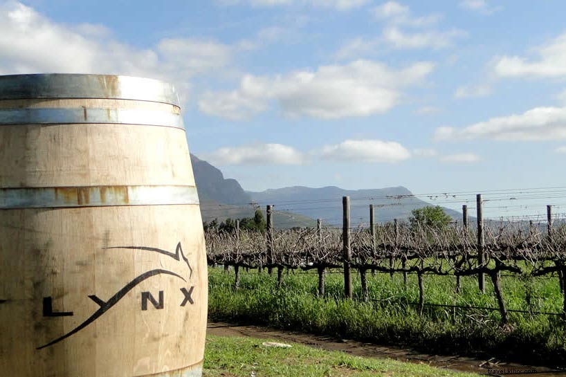 Découvrez les vignobles les moins fréquentés de l Afrique du Sud sauvage, Pays des vins sauvages 