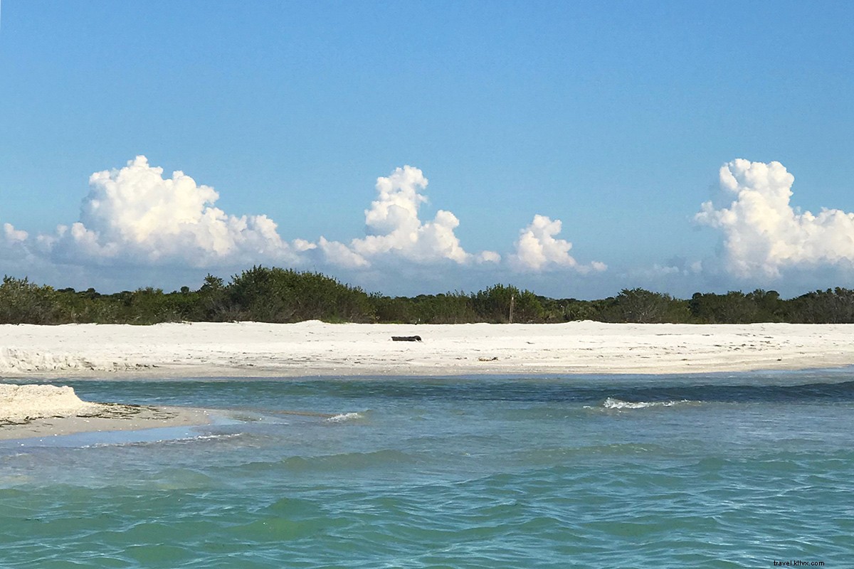 Kami Jatuh untuk Pesona Florida Tua Pantai Sanibel, Captiva, dan Kepulauan Penghalang 