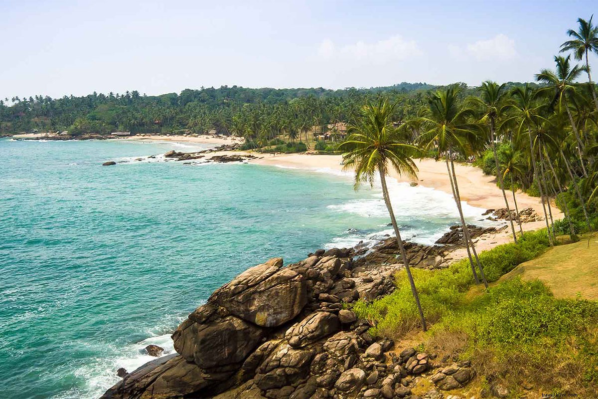 Alla ricerca di Safari, Surf, e Ayurveda in Sri Lanka 