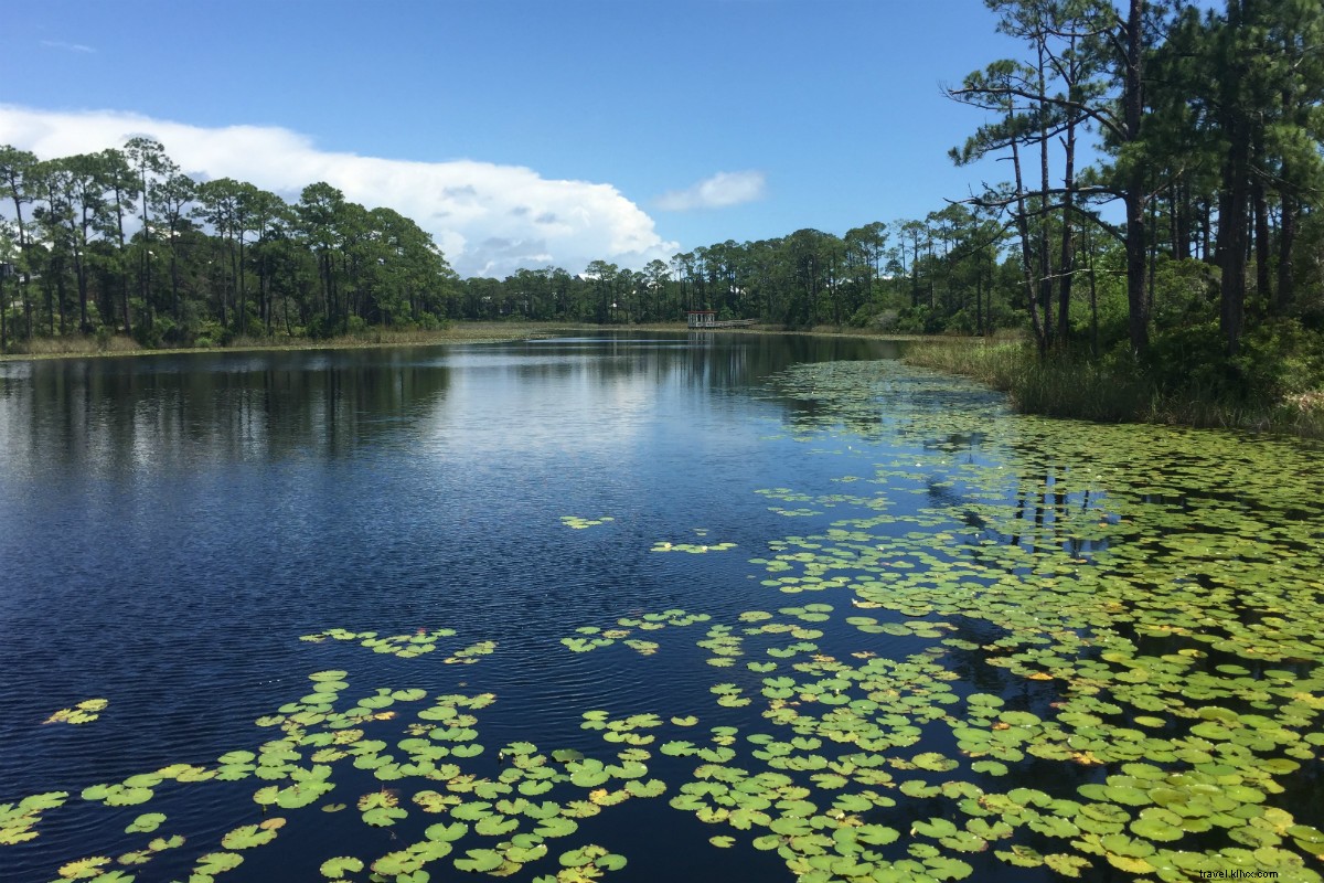 Ssst! Komunitas Pantai Gambar-Sempurna Ini Adalah Rahasia Terbaik Floridas 