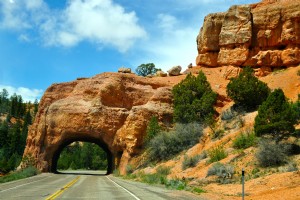 ¡Cinturón de seguridad! Estas son las 10 mejores carreteras de Estados Unidos 