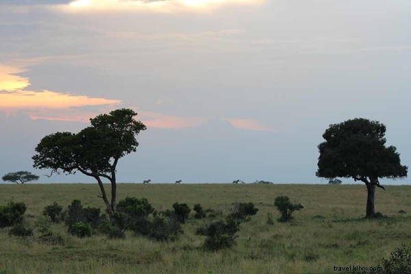 Um romance selvagem:brincar de casinha no mato queniano 