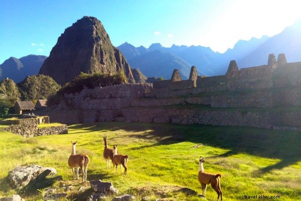 Melihat ke Bawah dari Puncak Dunia di Machu Picchu 