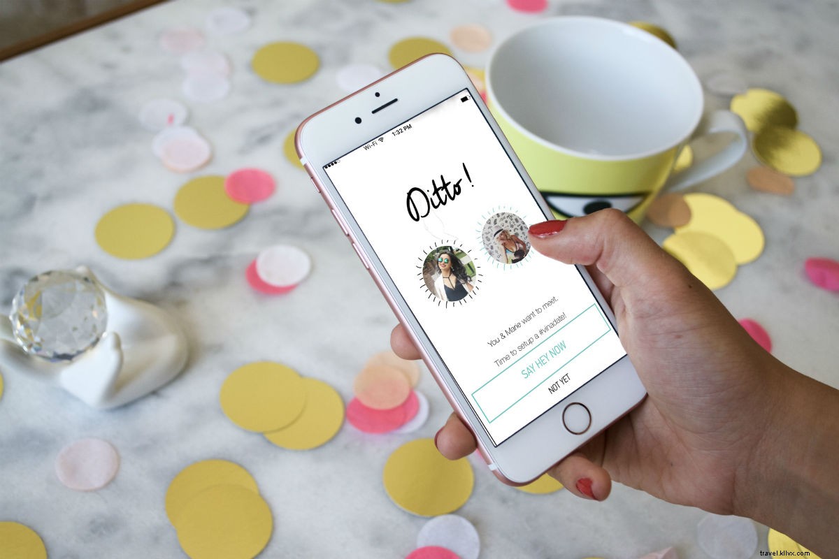 Este aplicativo ajudará você a encontrar seu novo melhor amigo de viagem 