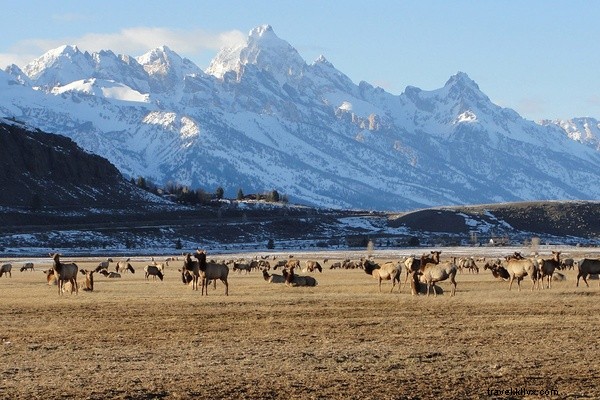 Akhir Pekan yang Menempatkan Mengapa di Wyoming 