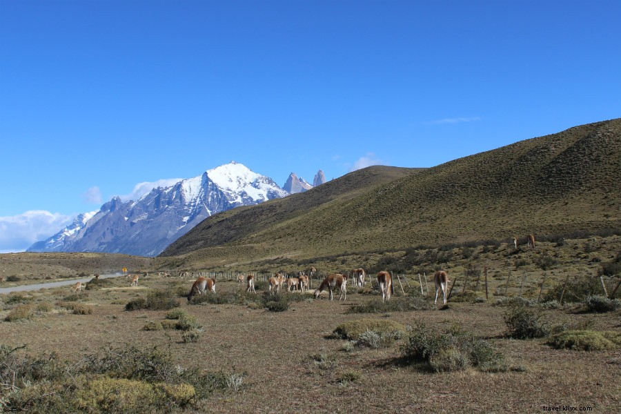 Un monde de bleu :trek à travers la Patagonie 