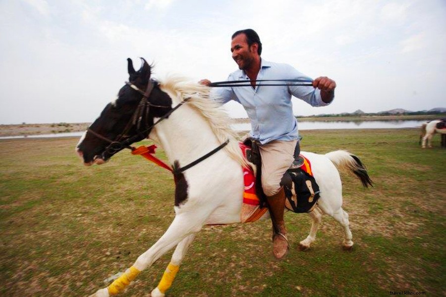 インドの馬に乗った英雄：Relief Riders International 