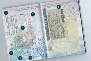 パスポートストーリー：トリュフハンティングとビルマサプライズ 