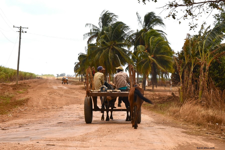 Explorando el campo de Cubas sobre dos ruedas 