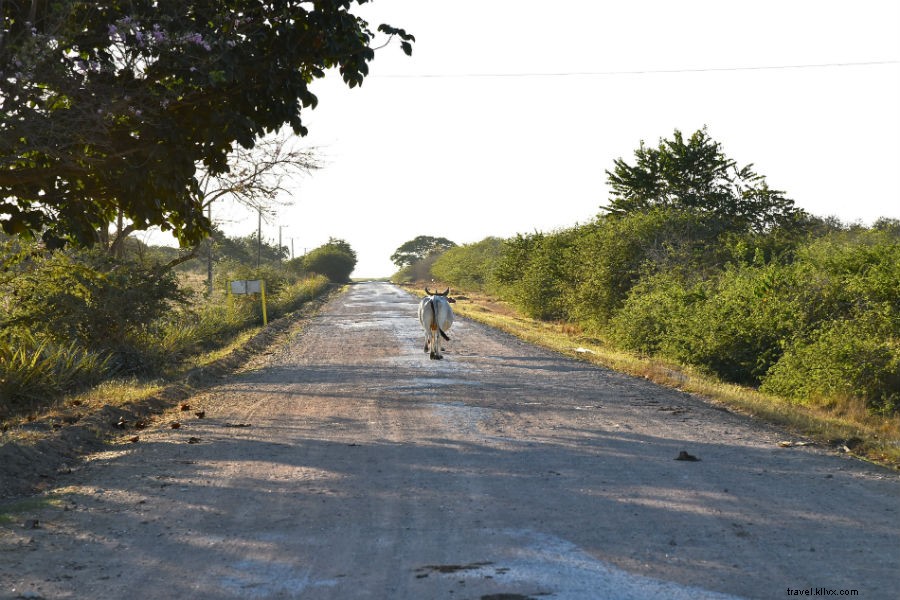 Menjelajahi Pedalaman Kuba dengan Dua Roda 