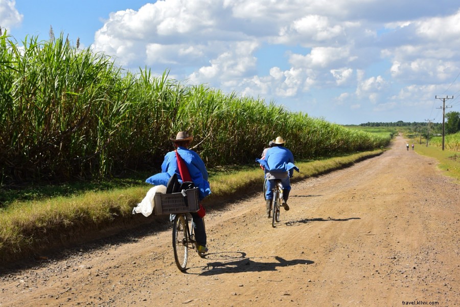 Explorando el campo de Cubas sobre dos ruedas 