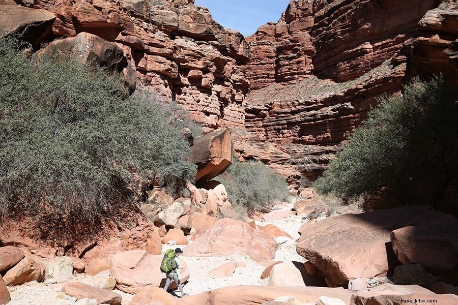 Hanya Sedikit Orang yang Dapat Melihat Air Terjun Tersembunyi Grand Canyon di Instagram Dreams 