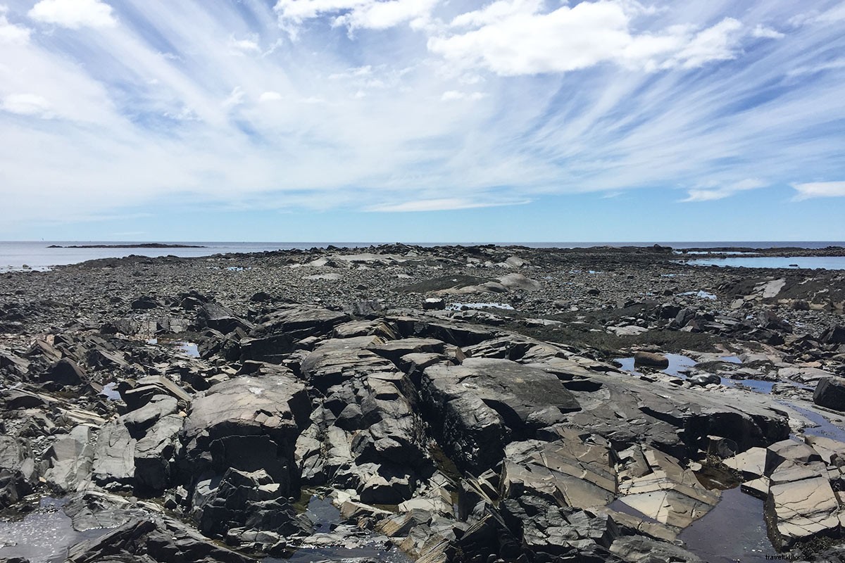 Trova un fascino estivo degno del New England sulla costa del Maine 