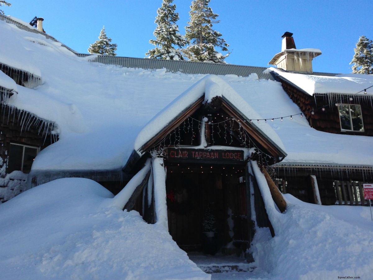 Role um Fatty, Calce um pouco de neve:não há necessidade de esquis em Tahoe neste inverno 
