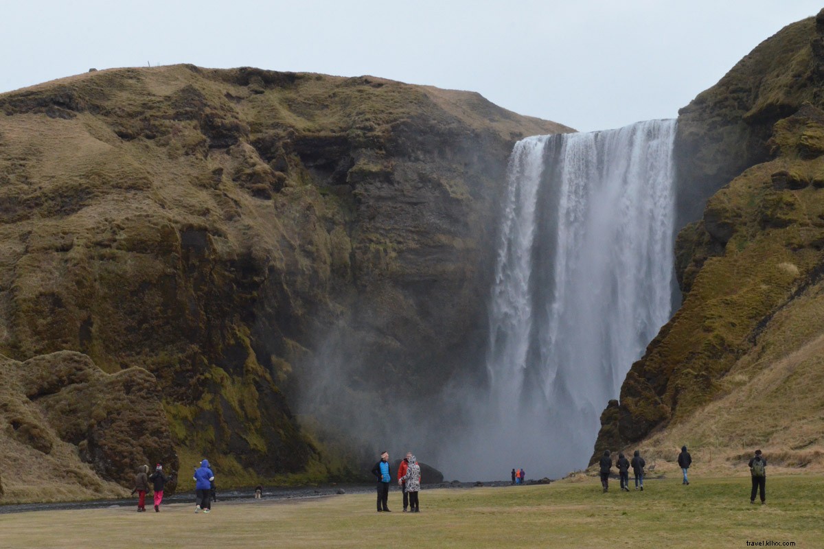 Trionfi e disavventure sulla tangenziale islandese 
