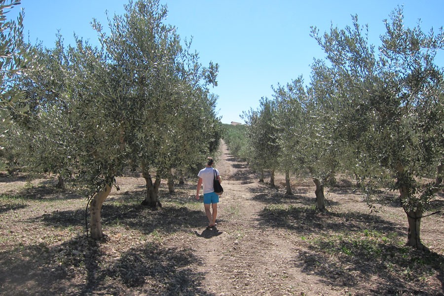 Romance fácil:dos semanas perfectas en Sicilia 