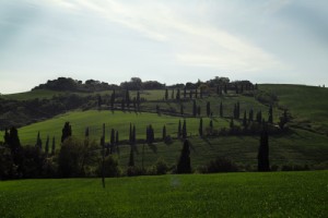 Sebuah Penginapan Tumbuh di Tuscany 