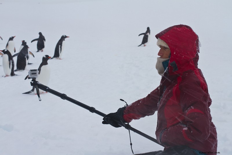 Antartika Nuansa Pucat Lebih Cerah 