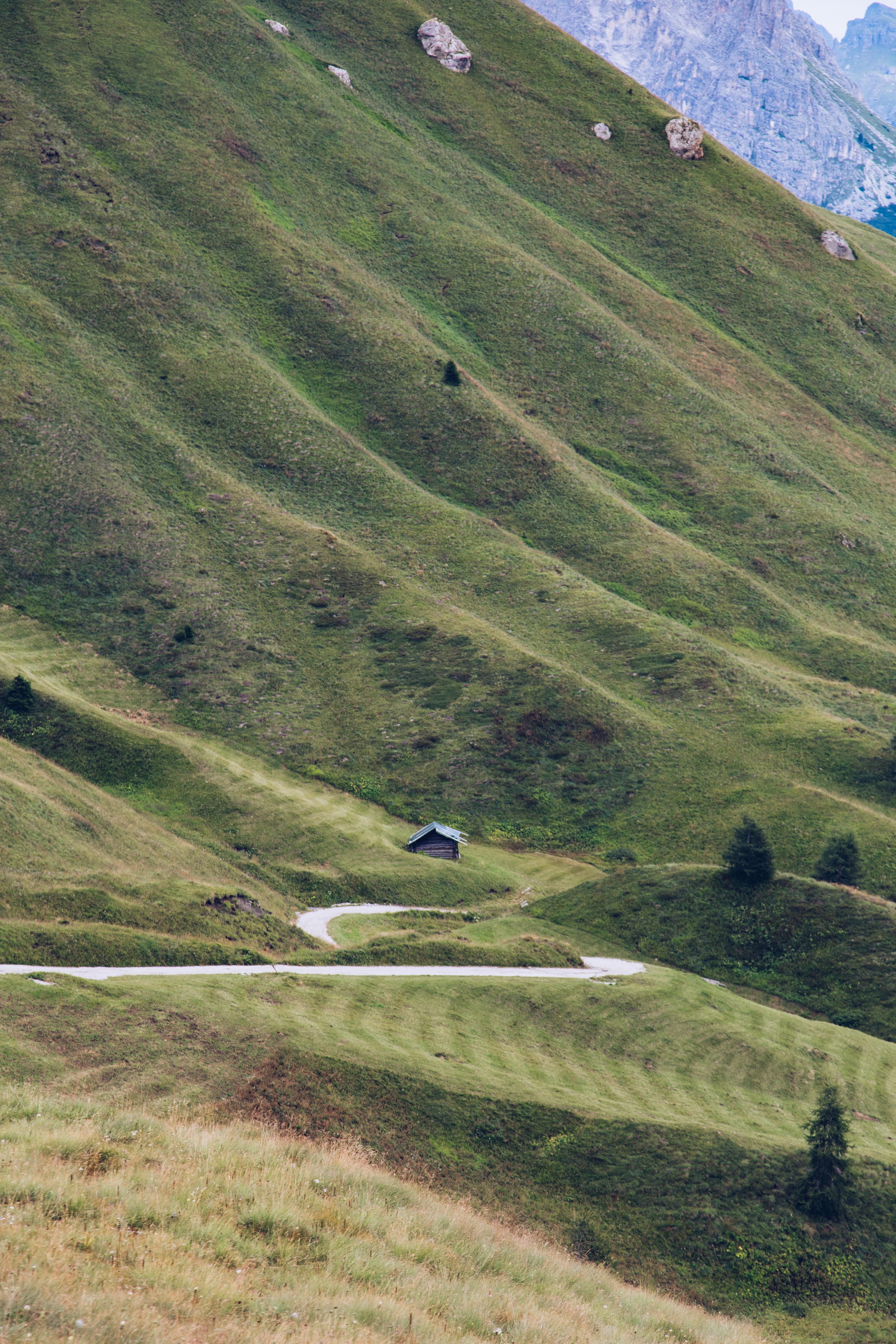 Foto de cabaña pequeña rodeada por una colina verde 