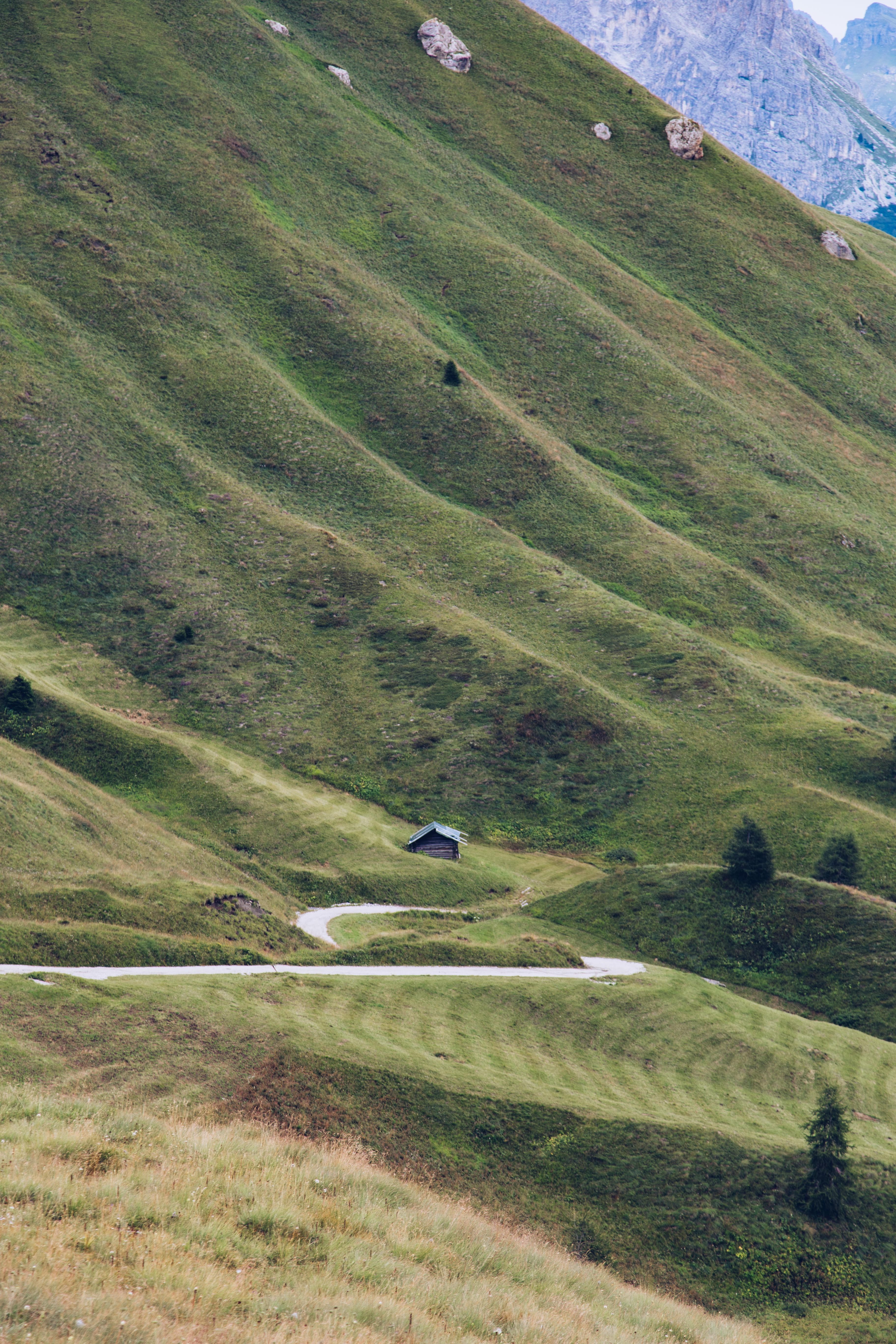 Kabin Kecil Dikelilingi Green Hillside Foto 