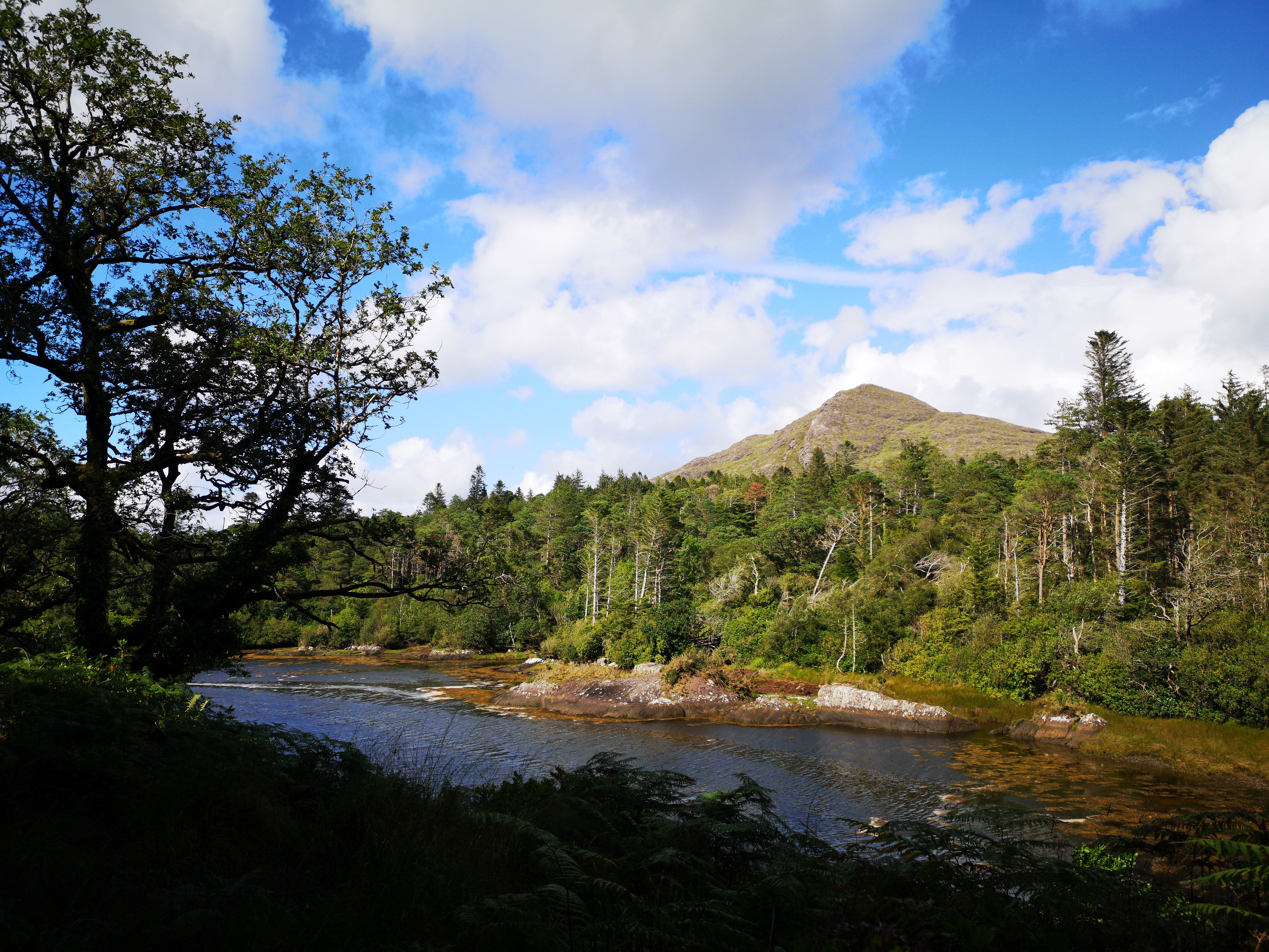 Bukit Dan Tepian Sungai yang Ditumbuhi Pohon Di Bawah Langit Biru Foto 