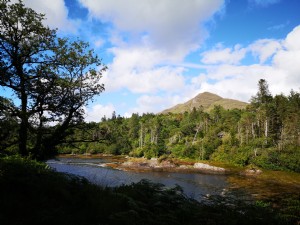 Foto de uma colina e arborizada à beira do rio sob um céu azul 