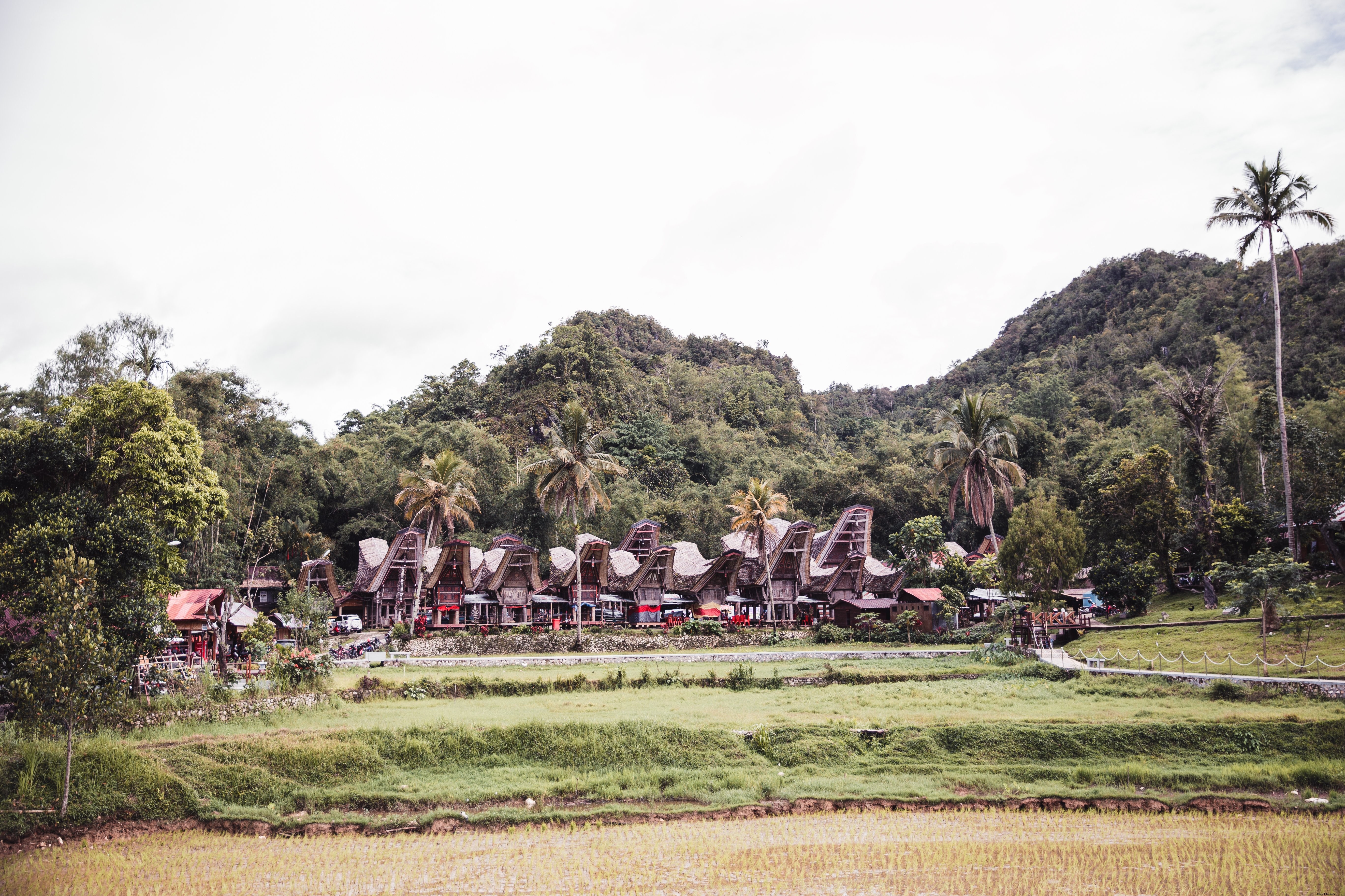 木々に囲まれたインドネシアの建物写真 